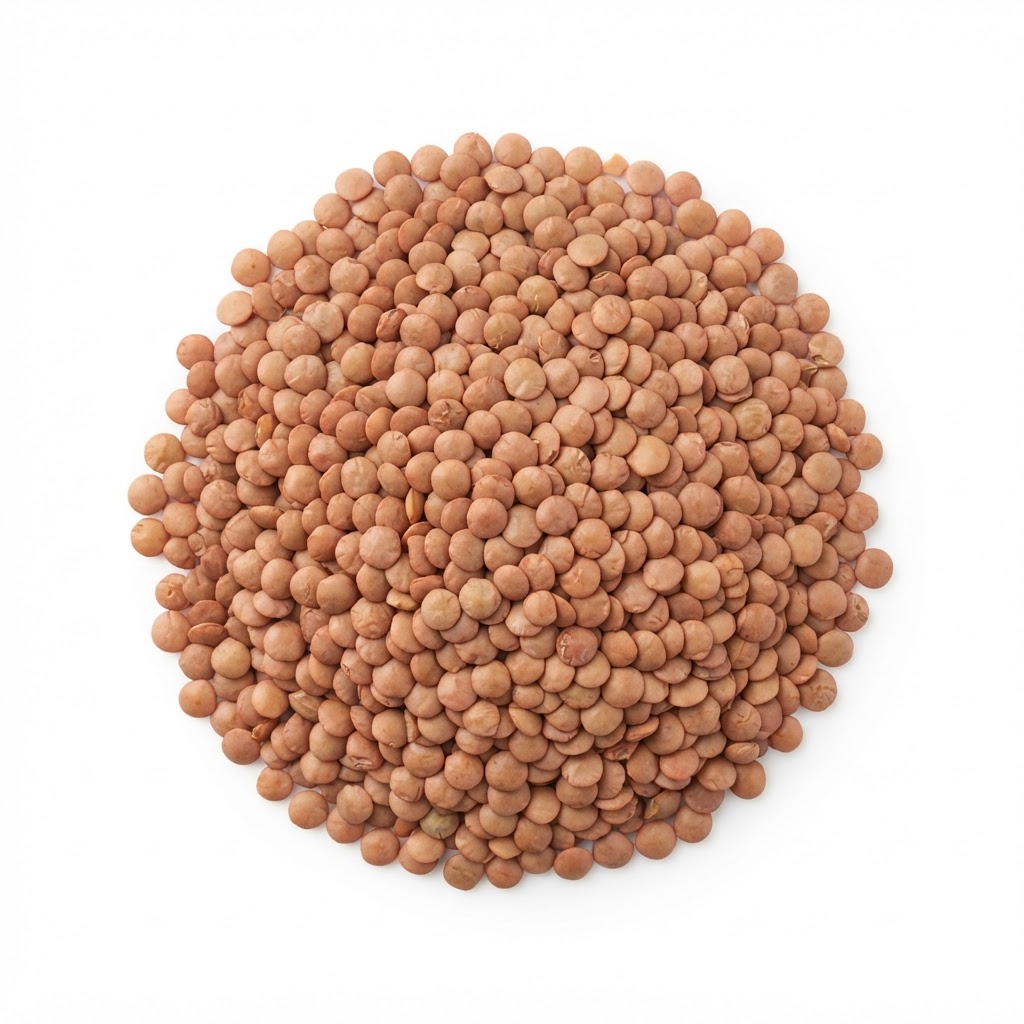 મસૂર દાળ — Masoor Dal