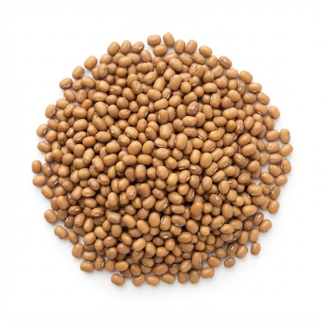 મઠ — Moth Beans