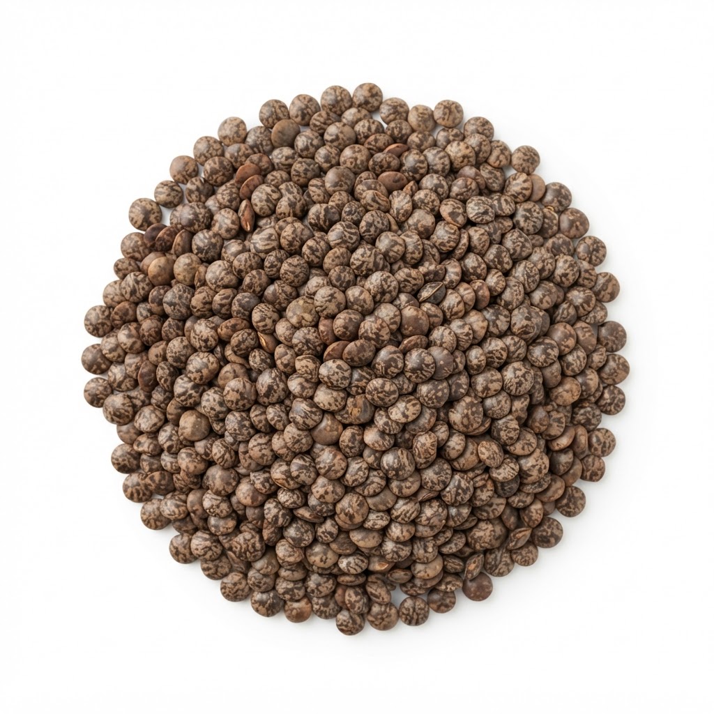 મસૂર — Whole Masoor