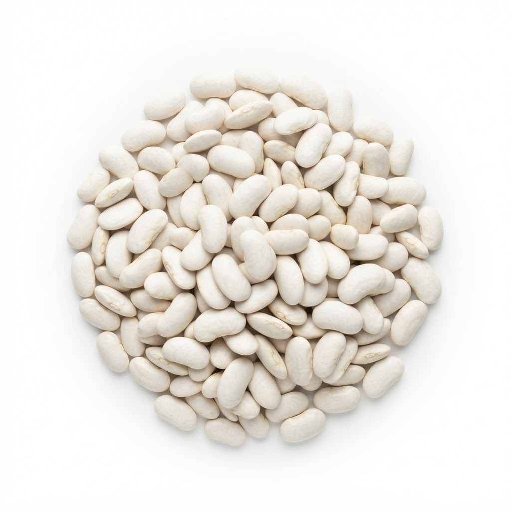 સફેદ રાજમા — White Kidney Beans