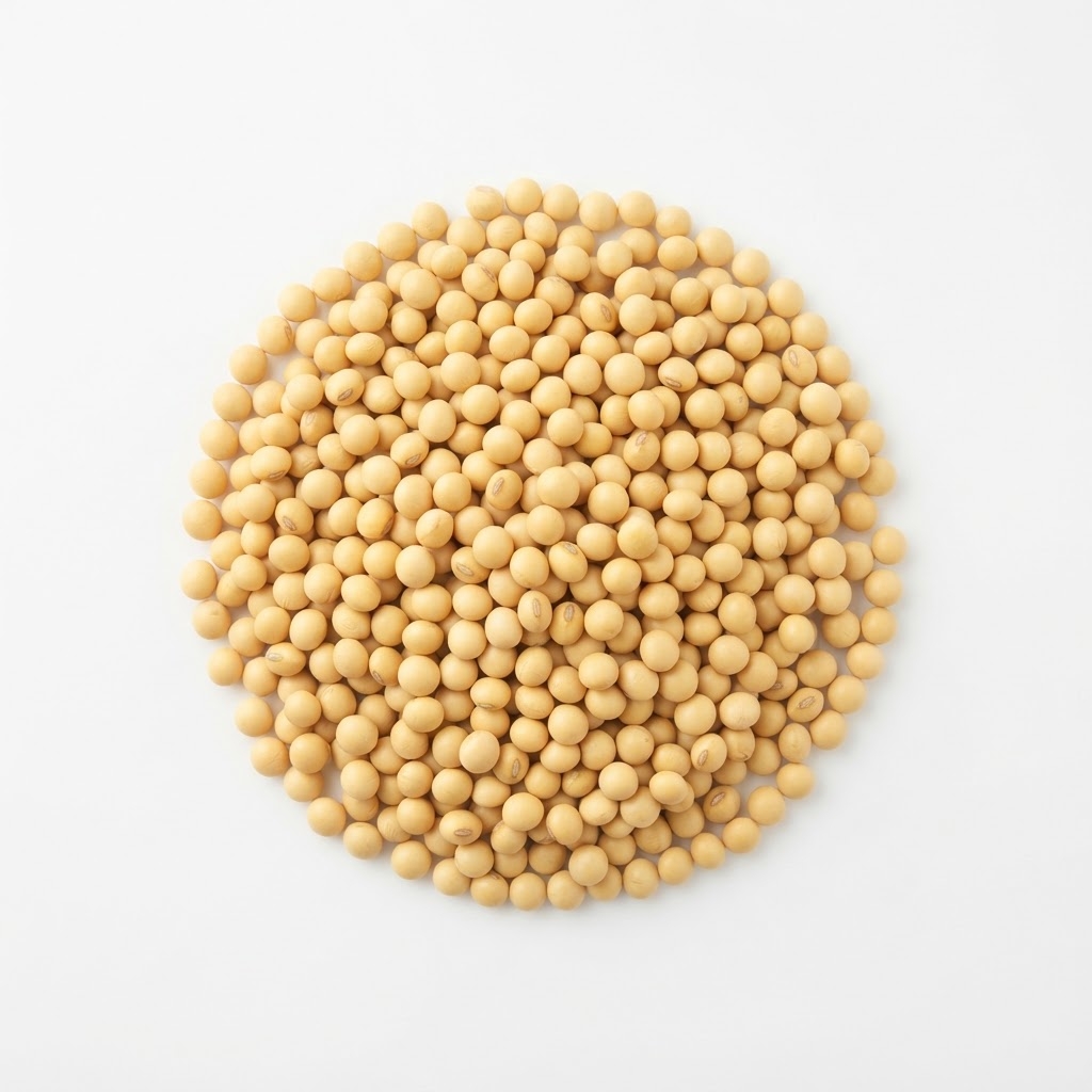 સોયાબીન — Soybean